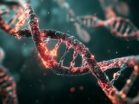 How DNA can be decoded more easily