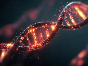 Ancient viral DNA shapes modern human placentas