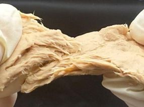 Genetically engineered fungi are protein packed, sustainable, and taste similar to meat