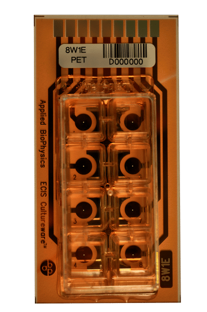 8-well Array with one gold electrode per well